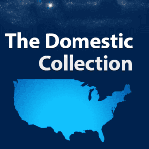 Domestic Adoption Bundle for Individuals